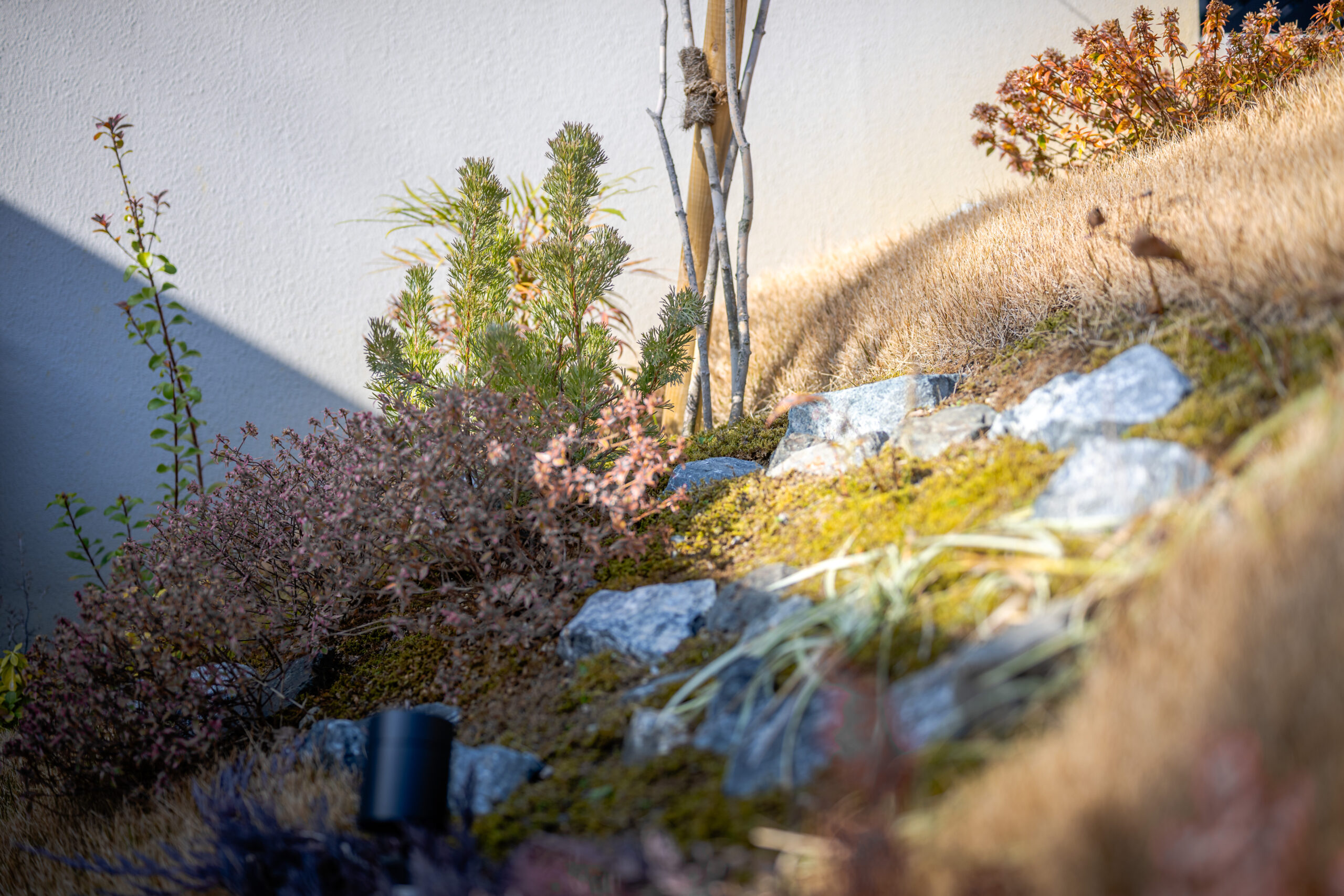 兵庫県　「帰るたびに、少し誇らしくなる家。」 三井ホームの邸宅に寄り添うモダンエクステリア