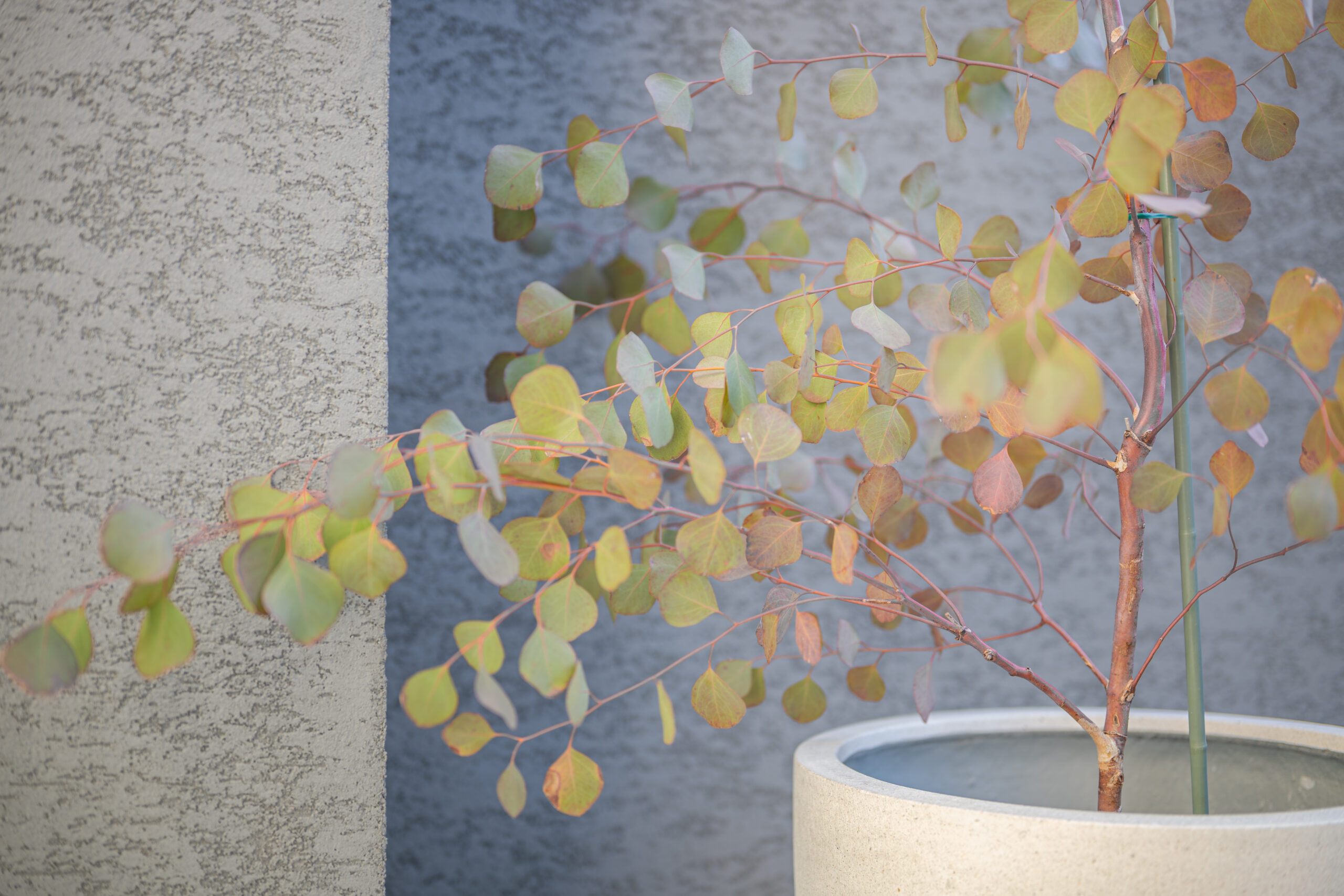 兵庫県　「帰るたびに、少し誇らしくなる家。」 三井ホームの邸宅に寄り添うモダンエクステリア