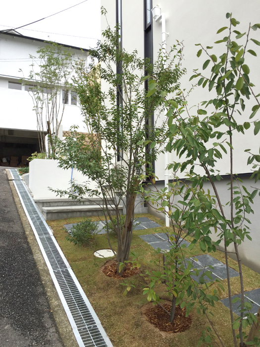 兵庫県　雑木の庭をイメージとした植栽デザインが際立つ白のエクステリアデザイン