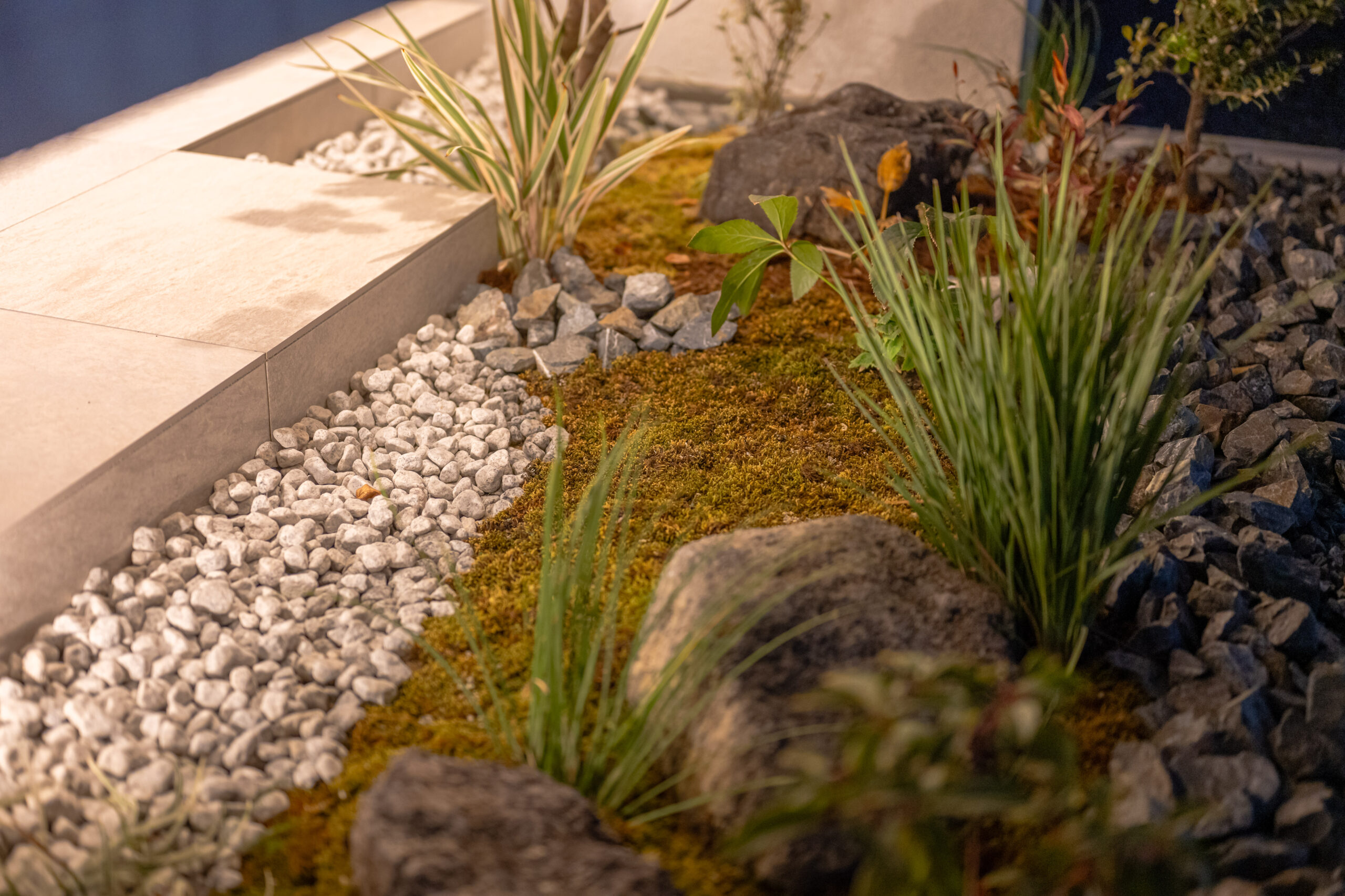 兵庫県　植栽のシルエットとタイルテラスが暮らしを彩る、オープンエクステリア