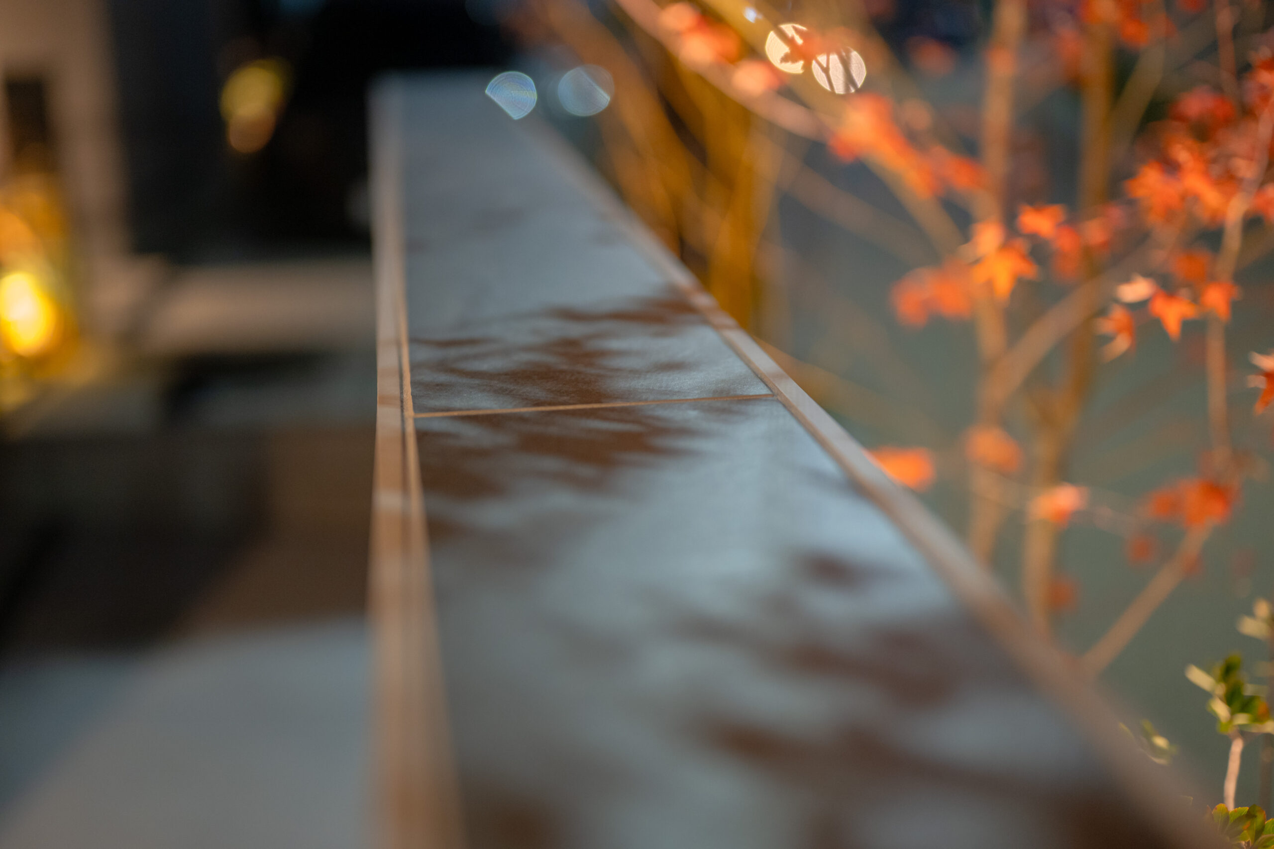 兵庫県　植栽のシルエットとタイルテラスが暮らしを彩る、オープンエクステリア