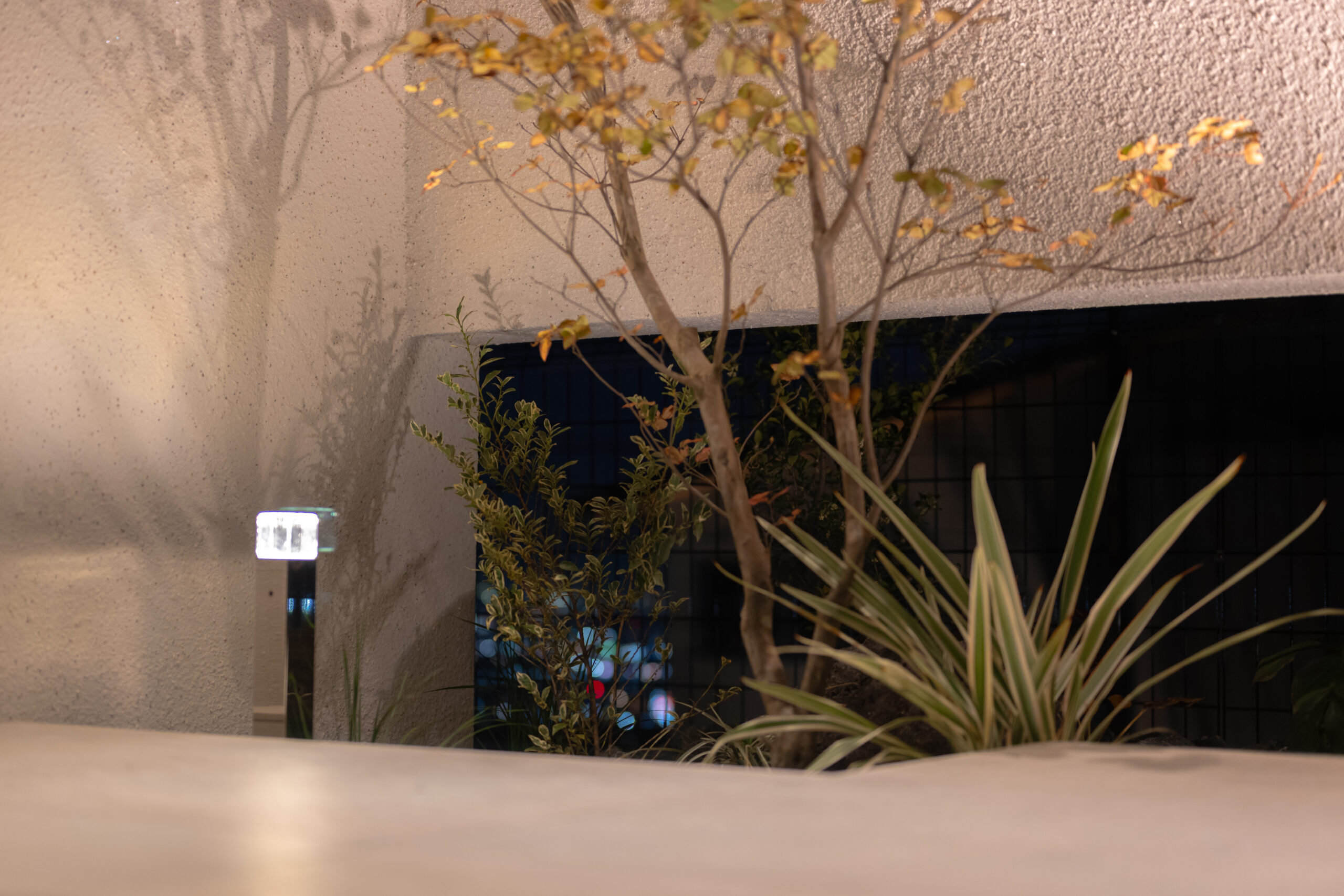 兵庫県　植栽のシルエットとタイルテラスが暮らしを彩る、オープンエクステリア