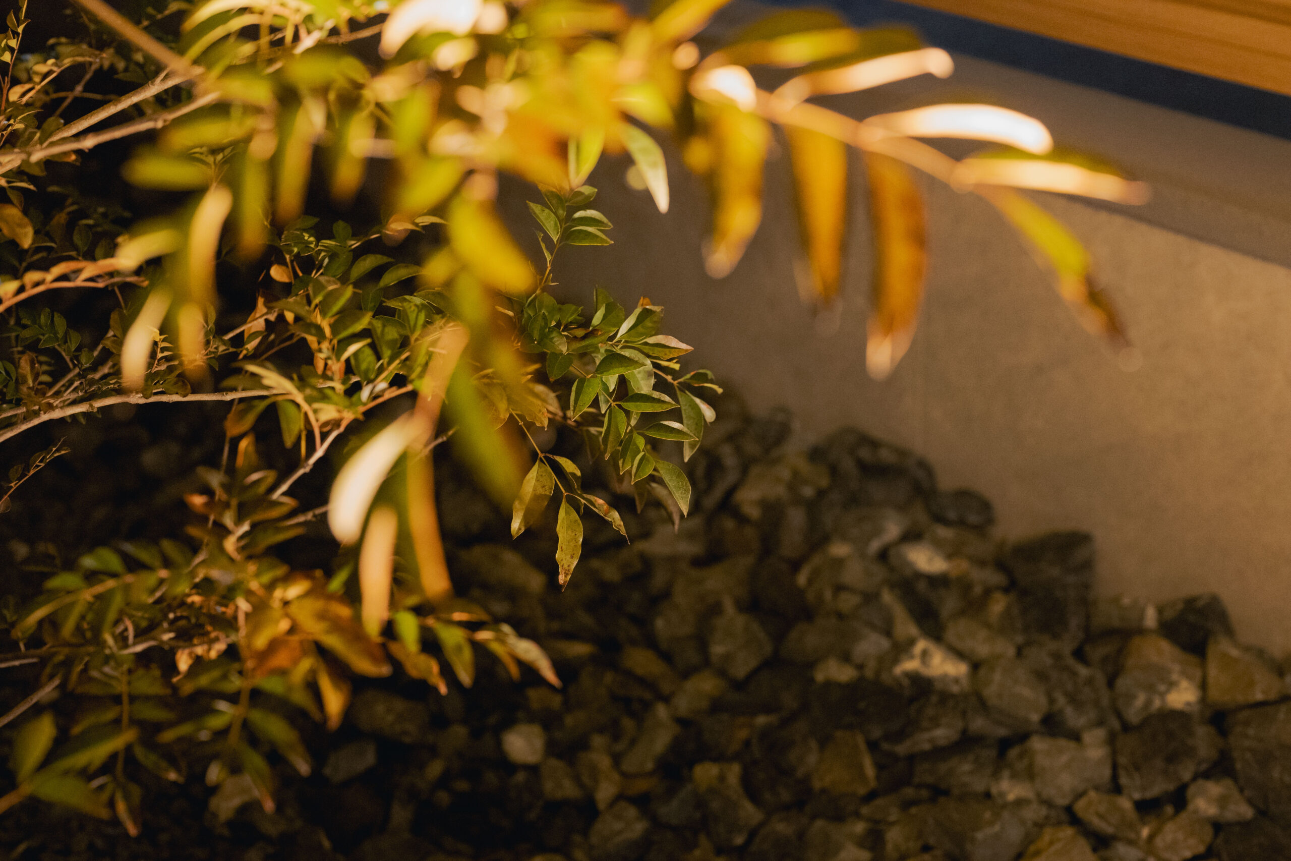 大阪府　外構リノベーションで叶える上質な庭空間