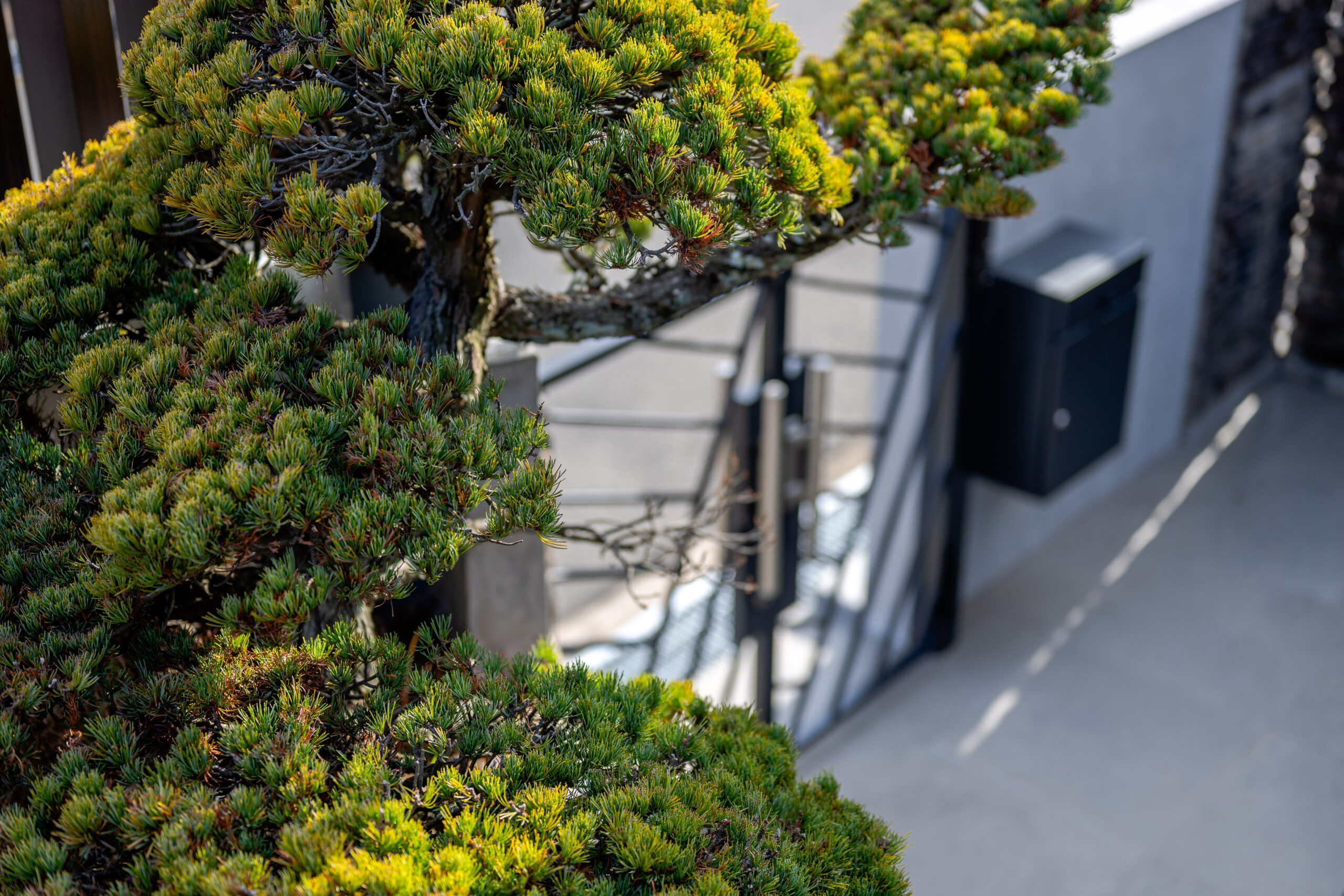 大阪府　継承と革新が織りなす邸宅美。石積みと植栽が時を繋ぐエクステリアリノベーション